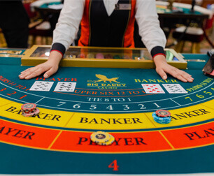 banglaplus88-gallery-img-3